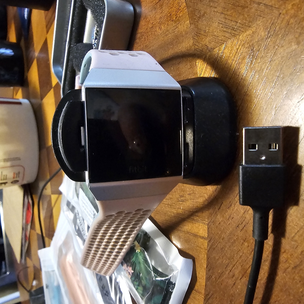 Fitbit Ionic Smartwatch with White Band